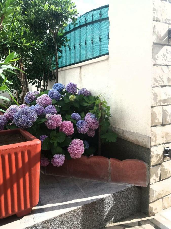 Ml Apartman Senj  Exterior photo